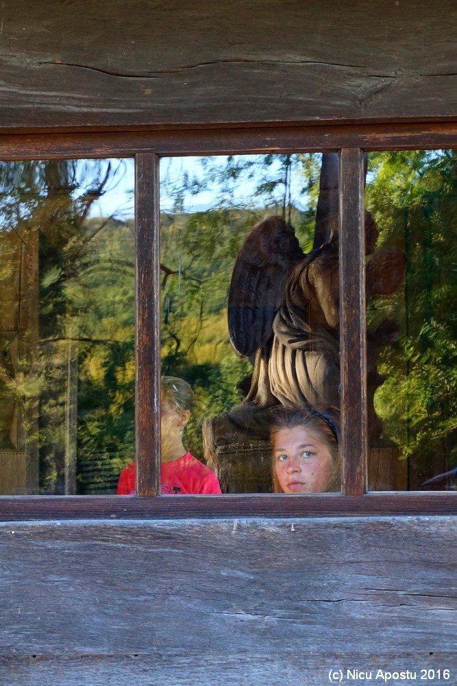 apostu nicu darabani 2016 005