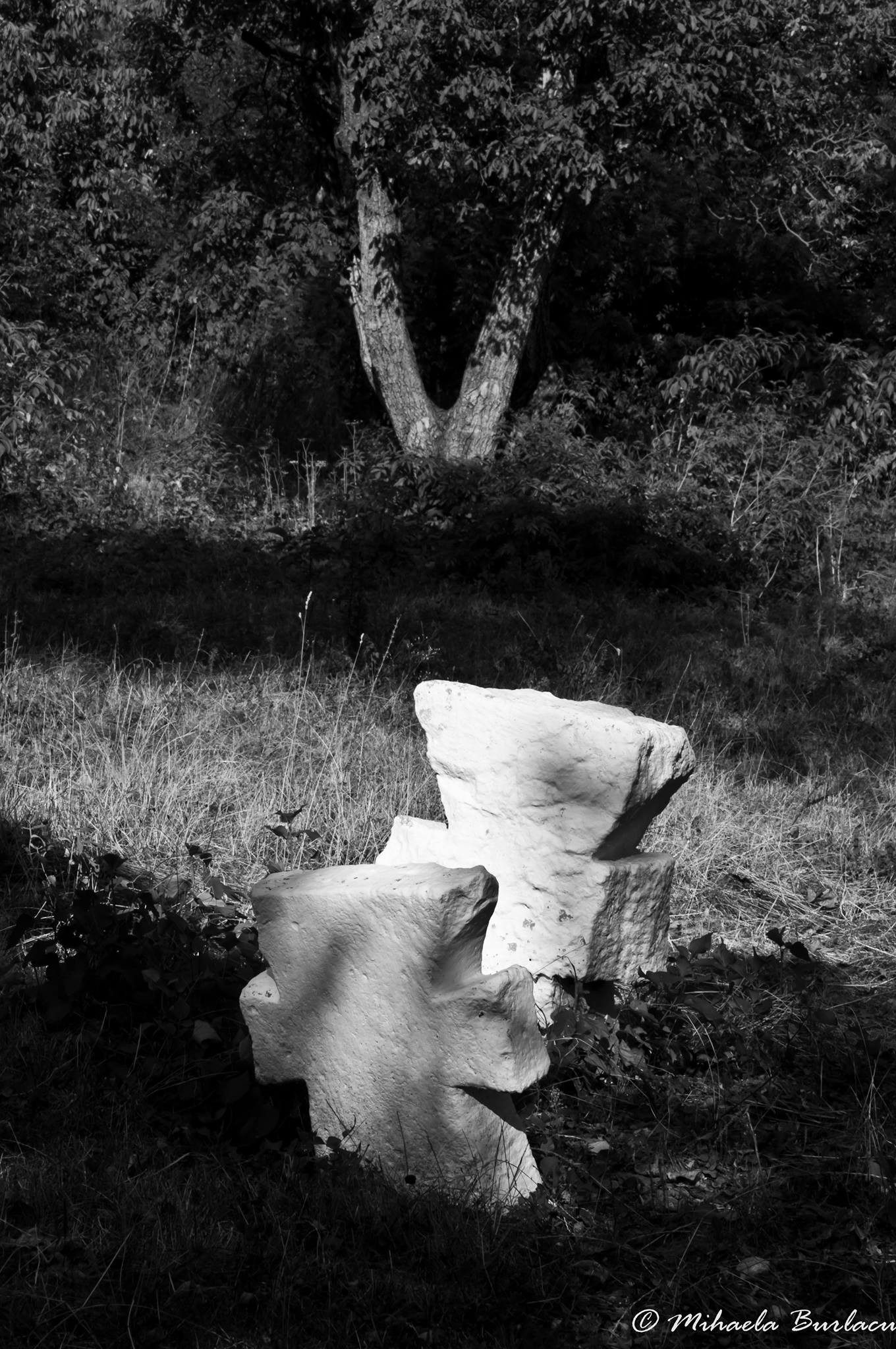 14315677_484826038380998_341579900_o