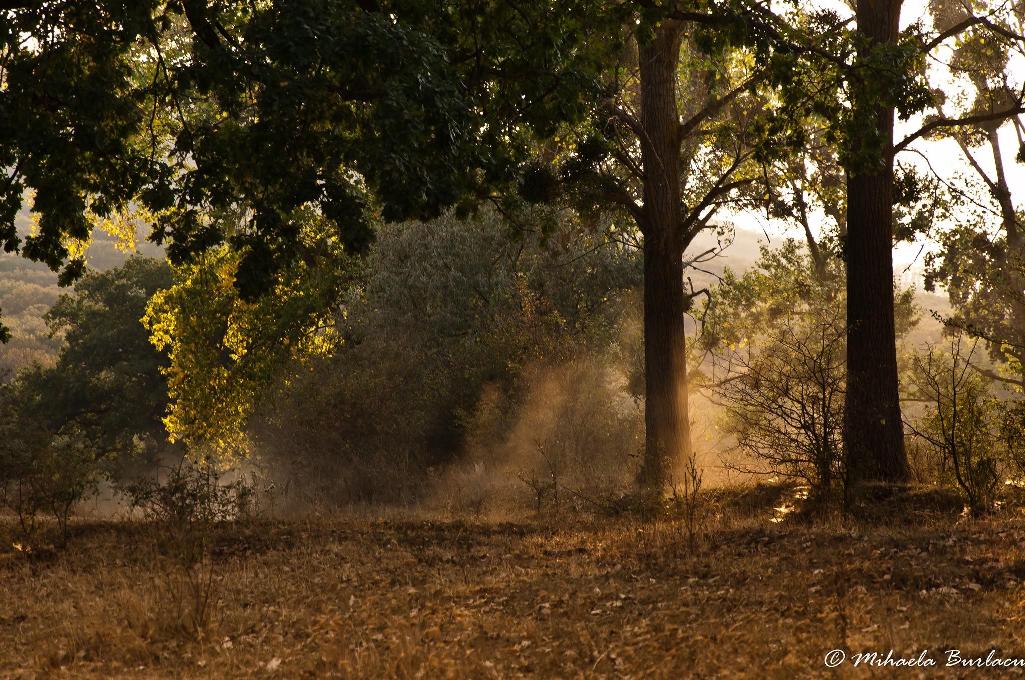 14315717_484826155047653_492907700_o