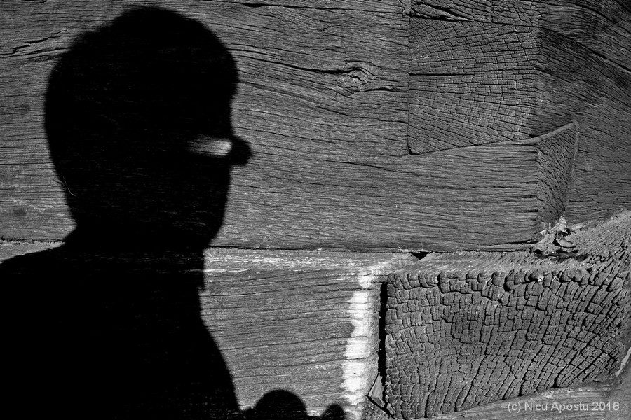 apostu-nicu-dobrovat-09-2016-003