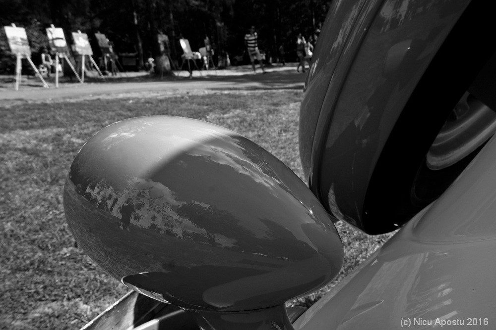 Nicu Apostu - Micluseni 005