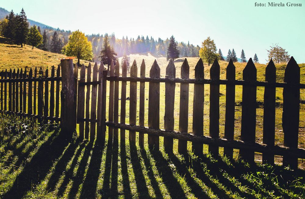 mirela-grosu-lacul-rosu-10-2016-003