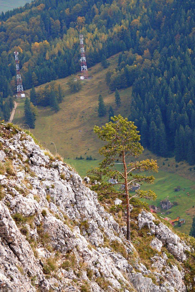 nicu-apostu-lacul-rosu-10-2016-001