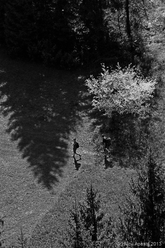 nicu-apostu-lacul-rosu-10-2016-002